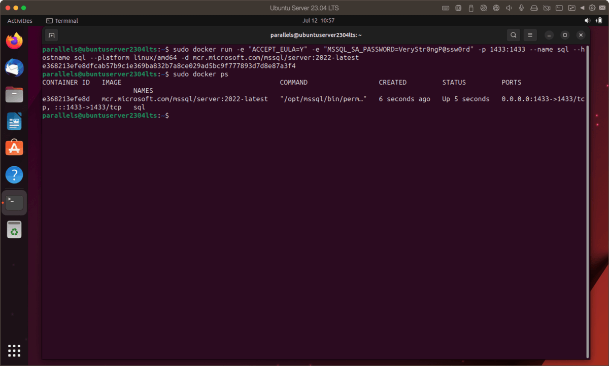 Run Intel binaries in Linux on a Mac with Apple silicon